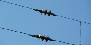 Stromleitungen © Pitopia, sally 2011